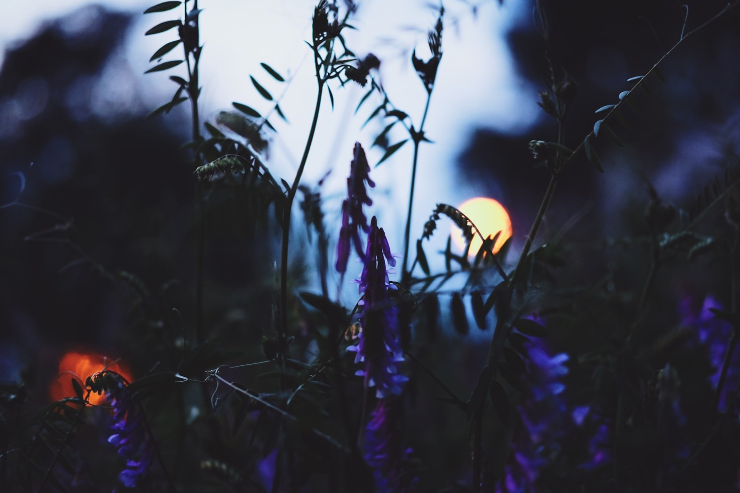 Integrating Shadow Aspects for Spiritual Fulfillment